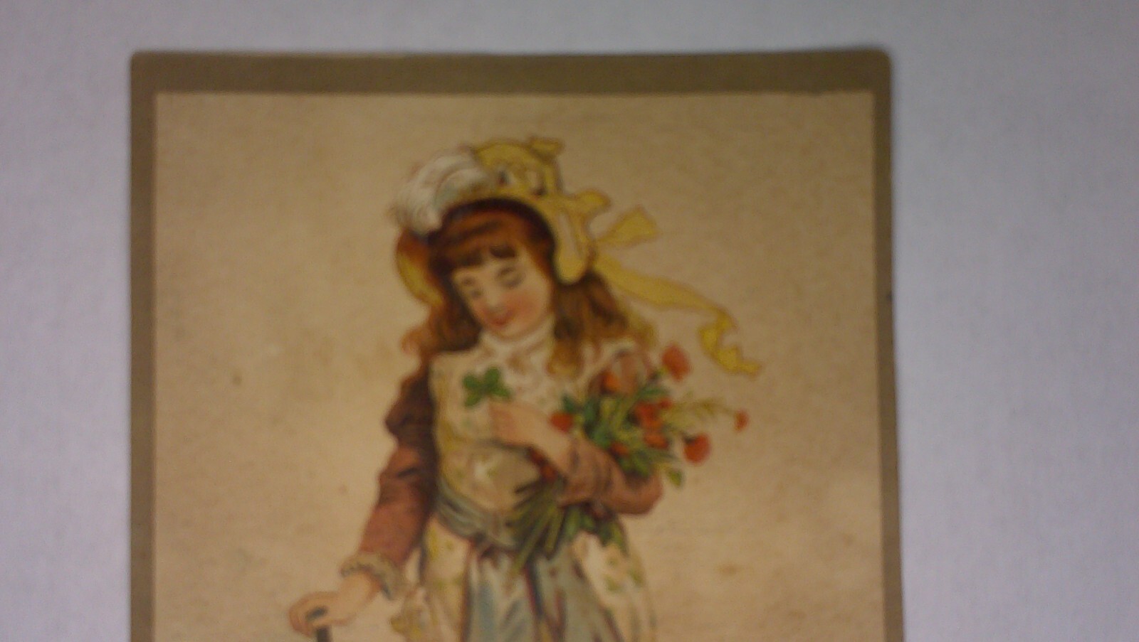 antique Trade Card P & O Plow Co. Canton, Ill. best clipper tricycle plow 6B