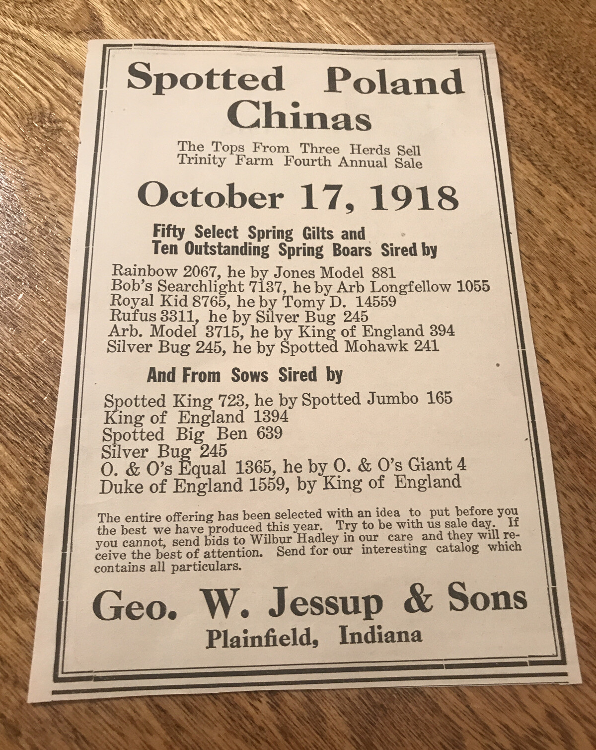 ORIGINAL 1918 Sow Public Sale Plainfield – Indiana – Farm Advertising – Hog Pig