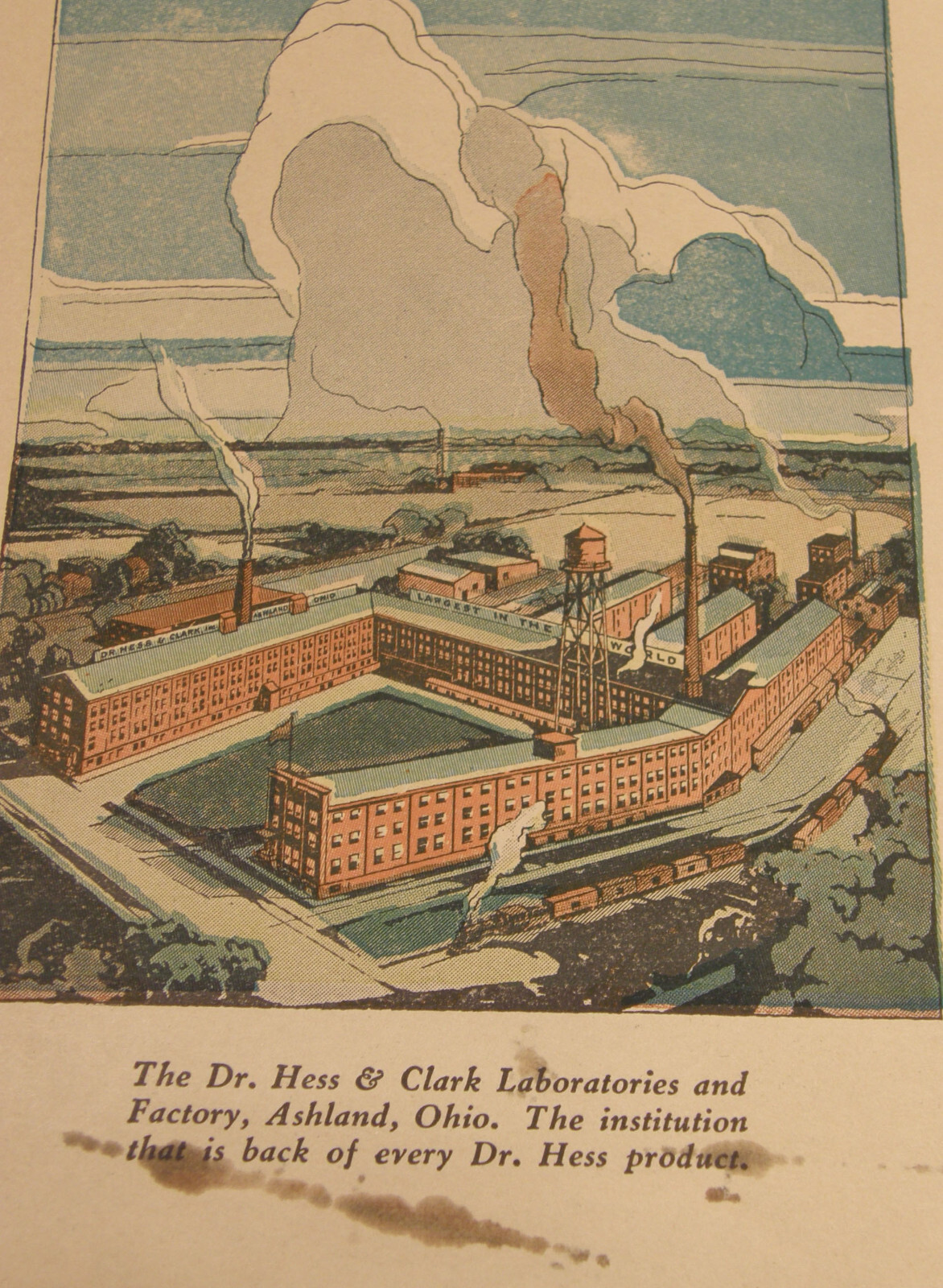 VINTAGE 1927 DR HESS CATALOG ASHLAND OHIO LIVESTOCK POULTRY PIGS COWS REMEDIES