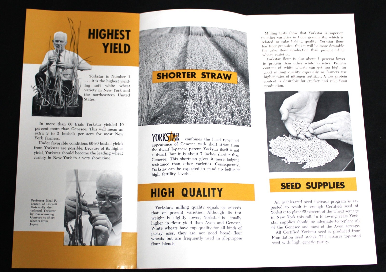 YORKSTAR WHEAT FARMING AGRICULTURE ADVERTISING SALES BROCHURE 1968 VINTAGE