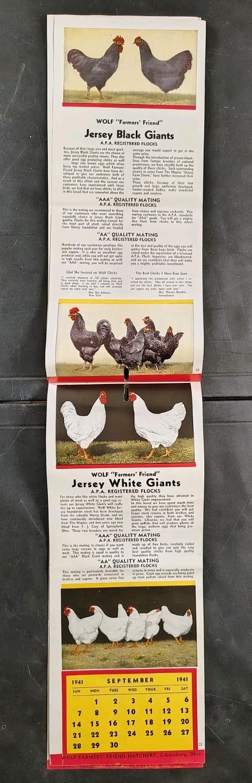 1941 Wolf Baby Chicks Catalog Calendar Sale Brochure Chicken Farming Advertising