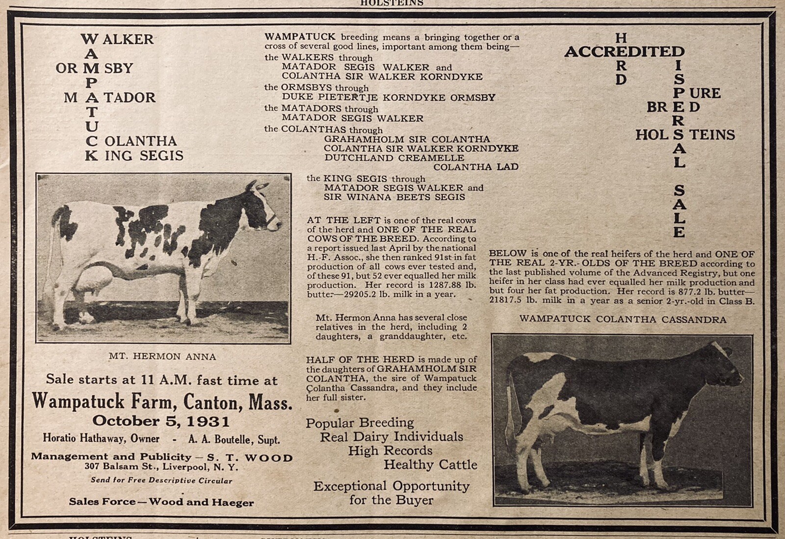 1934 AD.(XH58)~WAMPATUCK FARM, CANTON, MASS. HOLSTEIN DISPERSAL SALE