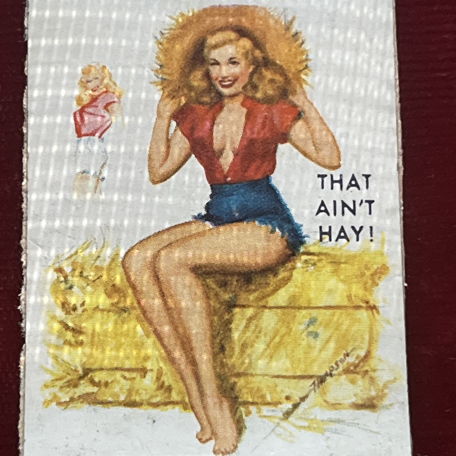Sexy Model Female Women Girl Vintage Antique Pinup Matchbook Cheesecake FARM HAY