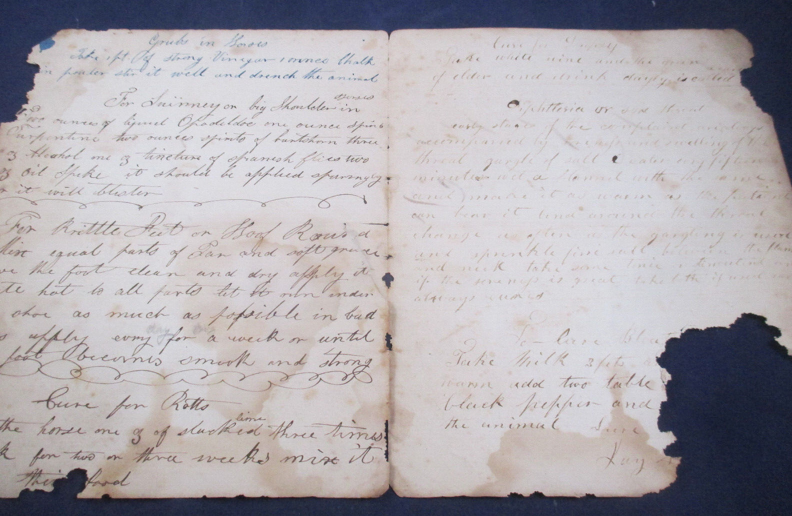 FARMING HISTORY – SALE of CALF – FARM TIPS DOCUMENT – “1888 “ BILL OF SALE
