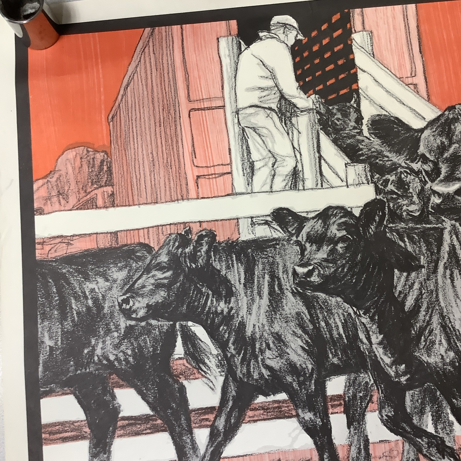 Vintage Angus Cattle Advertising Poster 1950’s 60’s ? Nice Graphics