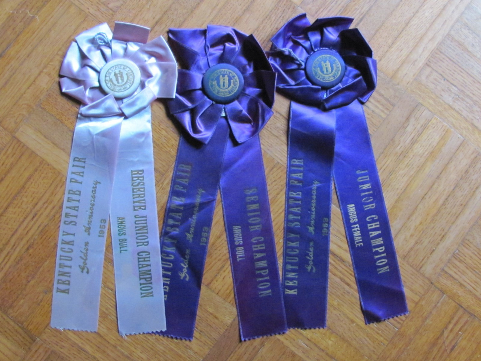 1953 FARM AWARD ANGUS BEEF CATTLE 3 ROSETTE RIBBON KENTUCKY STATE FAIR GOLDEN