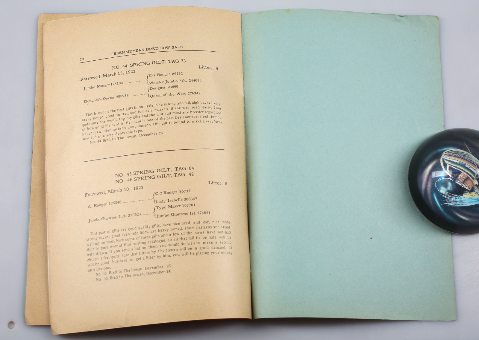 Vintage 1923 Fesenmeyer&rsquo;s Bred Sow Sale Catalog Clarinda Iowa