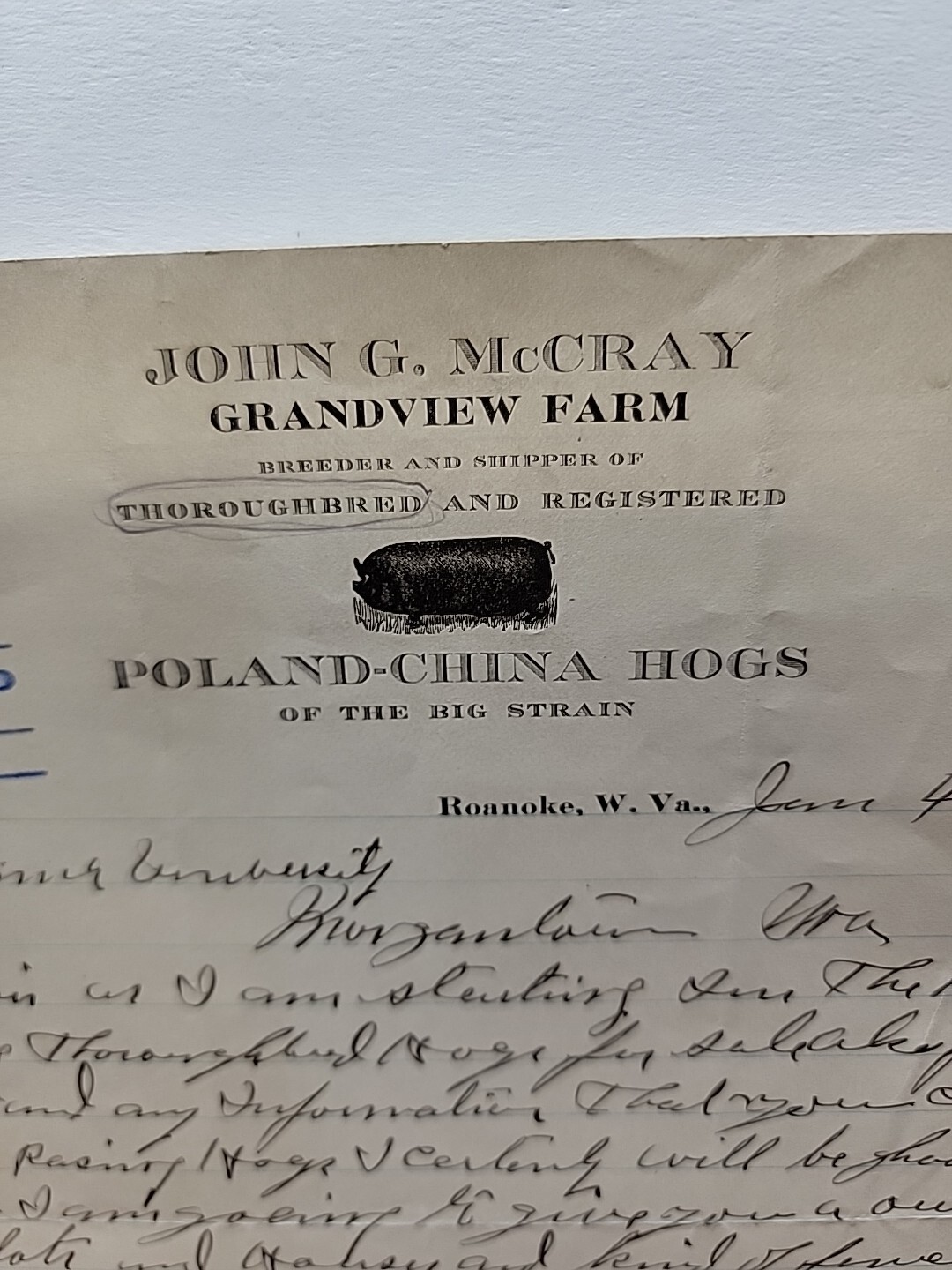 1916 JOHN McCRAY GRANDVIEW FARM POLAND-CHINA HOGS Letterhead / 1123-tf2