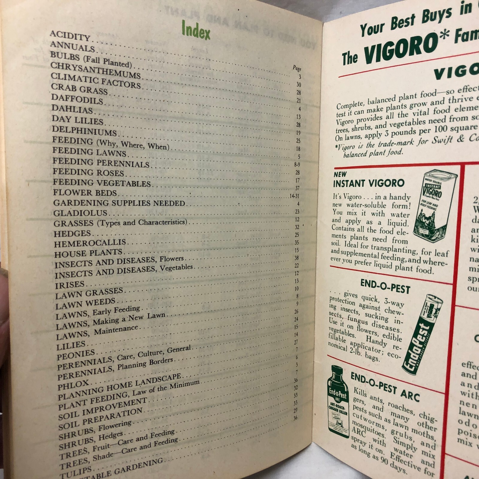 Vintage 1951 Gardening Success Booklet