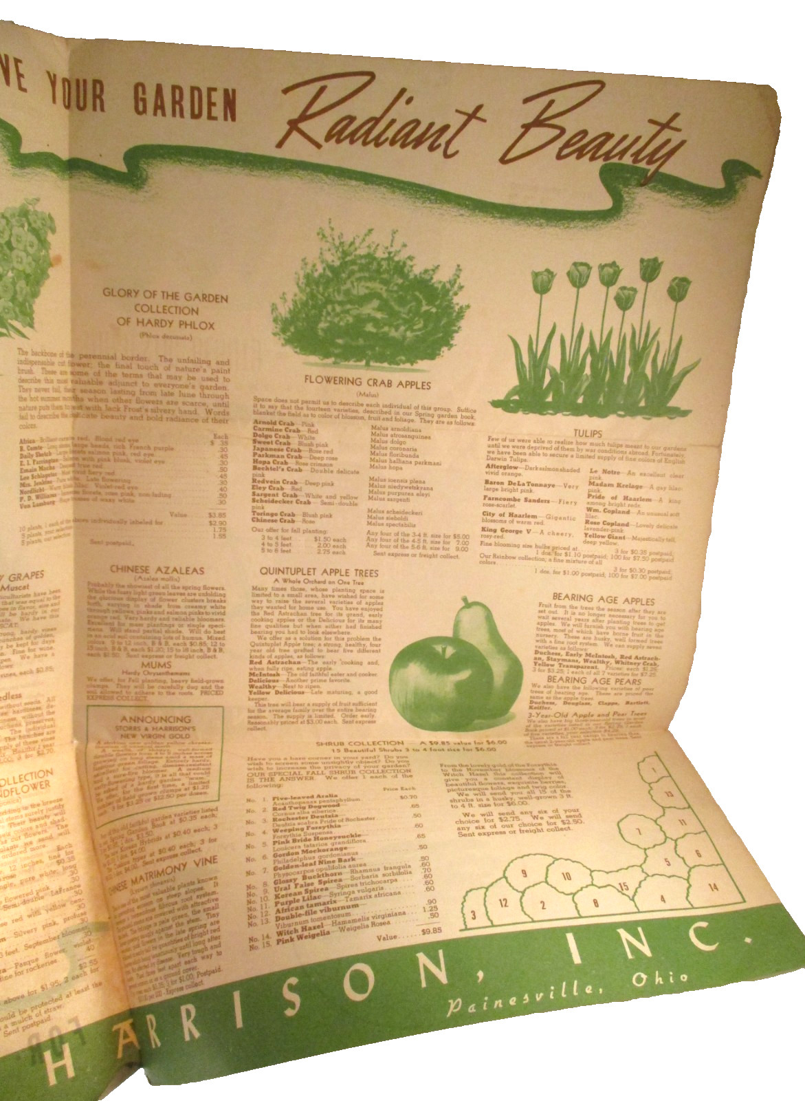 Vintage STORRS and HARRISON PAINESVILLE OH NURSERY MAILER BROCHURE