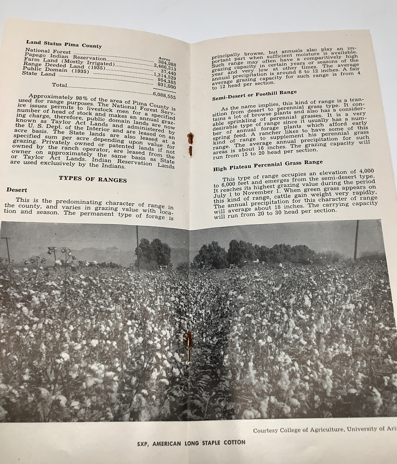 Vintage 1950’s Pima County Arizona Farming & Livestock Informational Bulletin