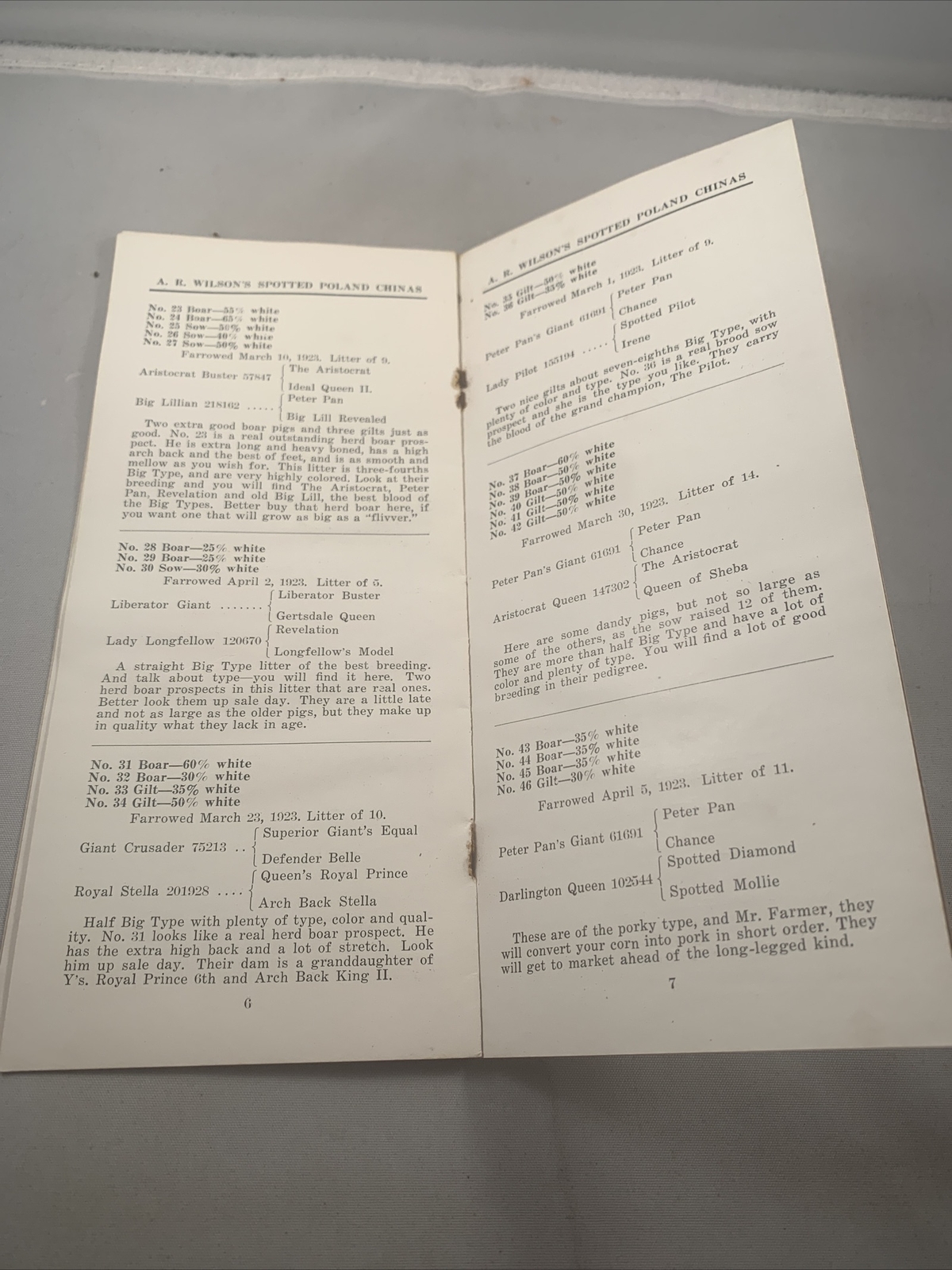 1923 Hog Sale Brochure Wilson’s Prolific Poland China Pig Farm Darlington MO