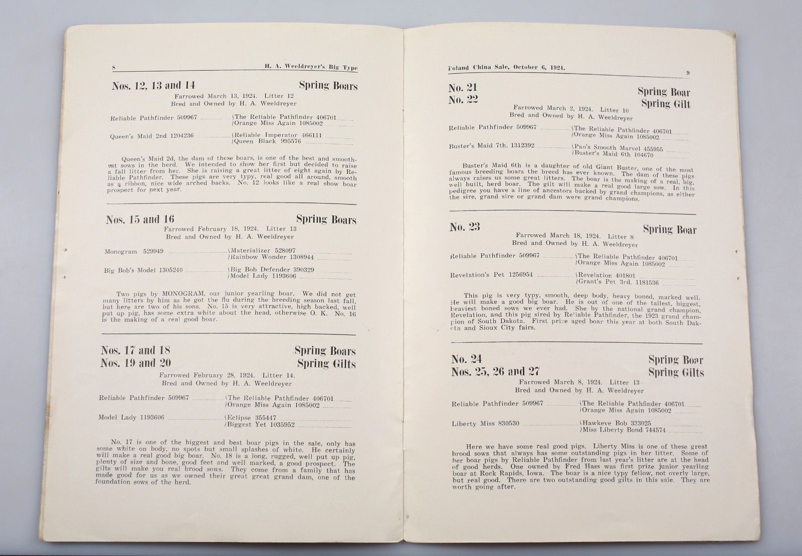 Vintage 1924 Poland China Pig Sale Cholera Immuned Emery South Dakota