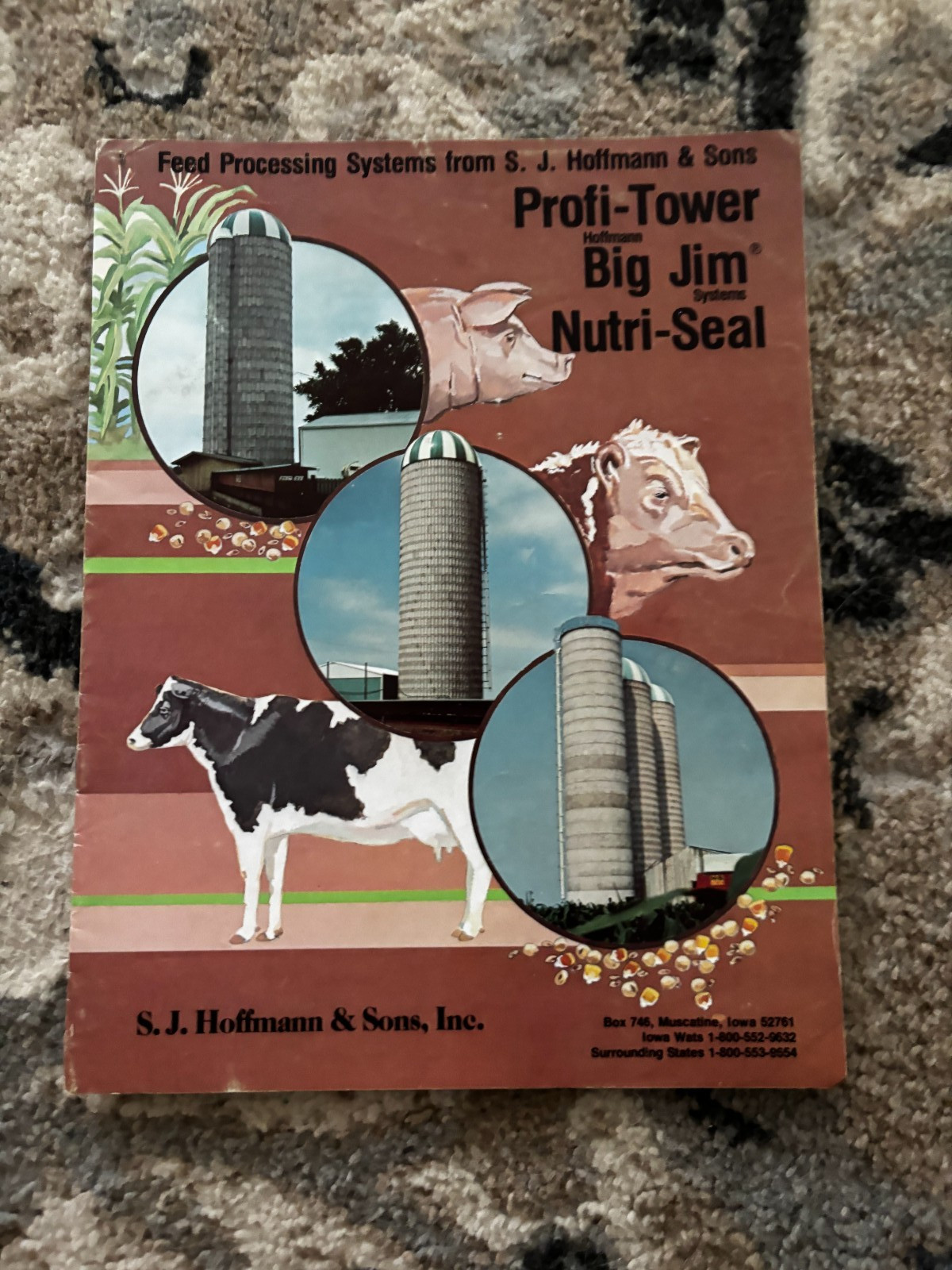 S.J. Hoffmann & Sons Inc Silos with Big Jim Unloader Brochure DCPA26