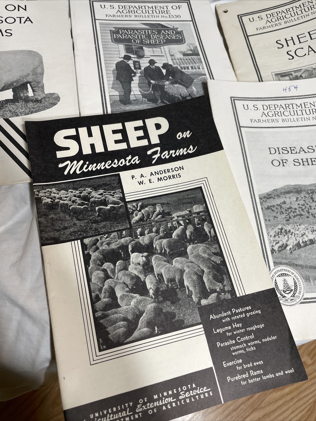 minnesota sheep farming bulletins