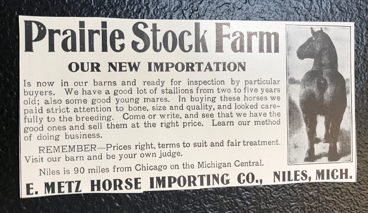 1911 E. Metz Prairie Farm – Horse Advertising – Niles – Michigan