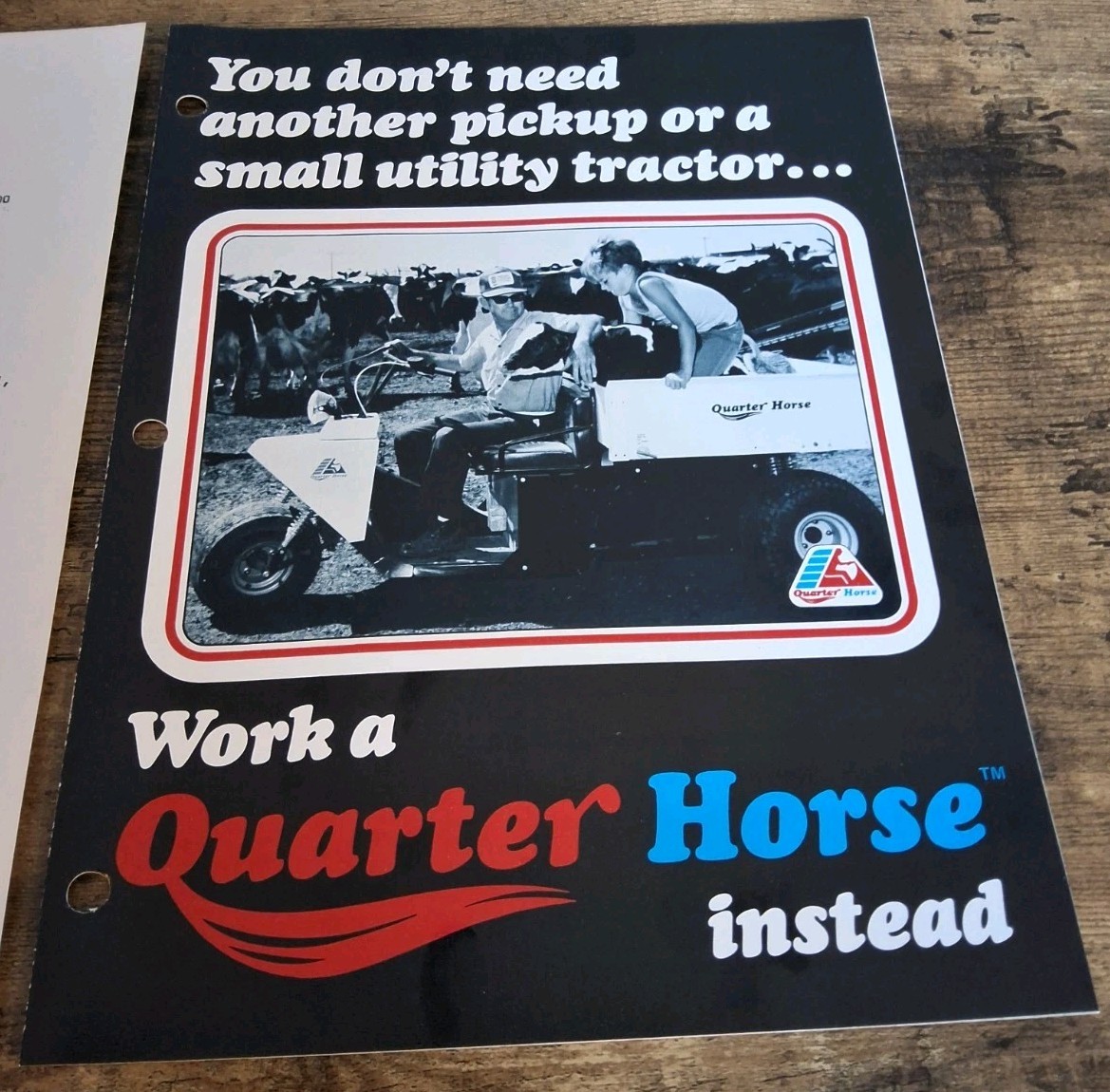 Promark Products Corporation Quarter Horse Utility Truck Brochure And Price List