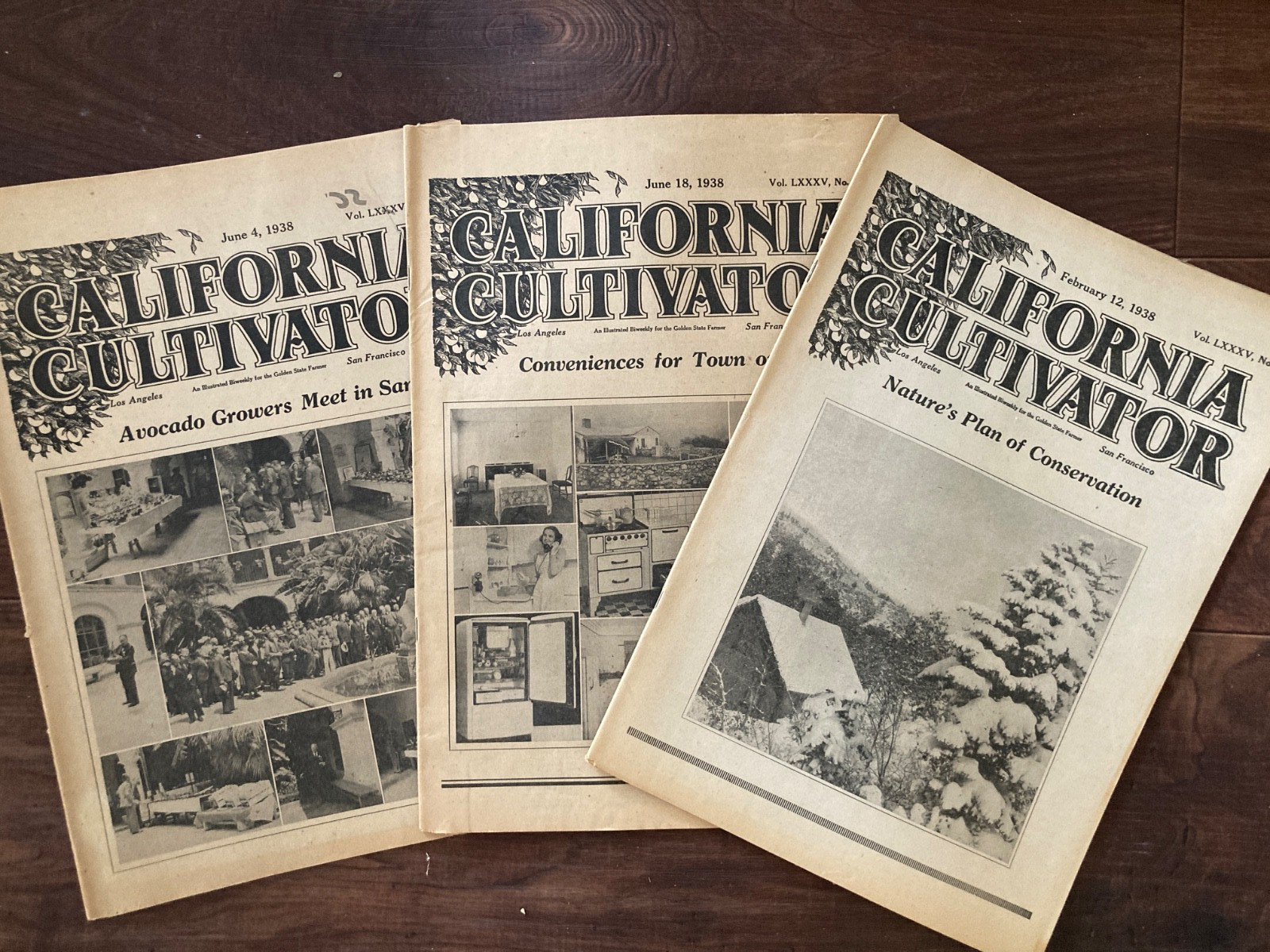California Cultivator Agricultural Newspaper 1938 Biweekly Lot of 18 VHTF