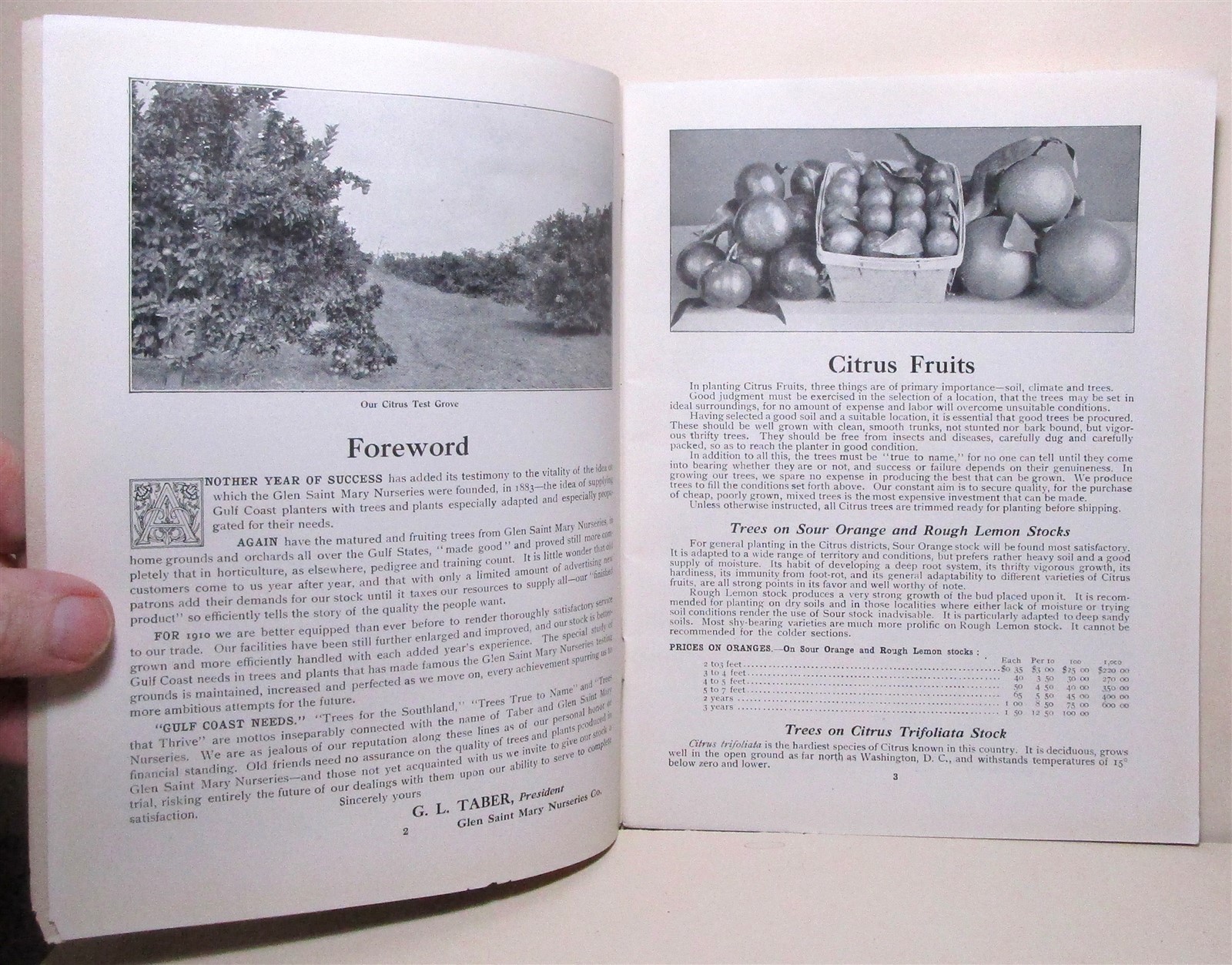 1910 Glen Saint Mary Nurseries catalog, Florida