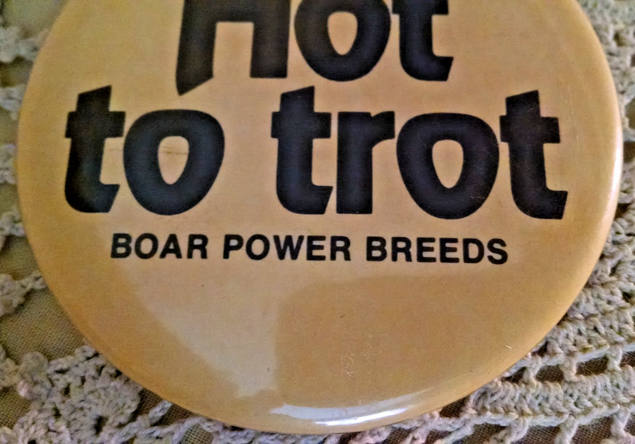 BOAR POWER BREEDS BUTTON PINBACK ROUND VINTAGE SIX HOT TO TROT TIN ENAMEL PIG.