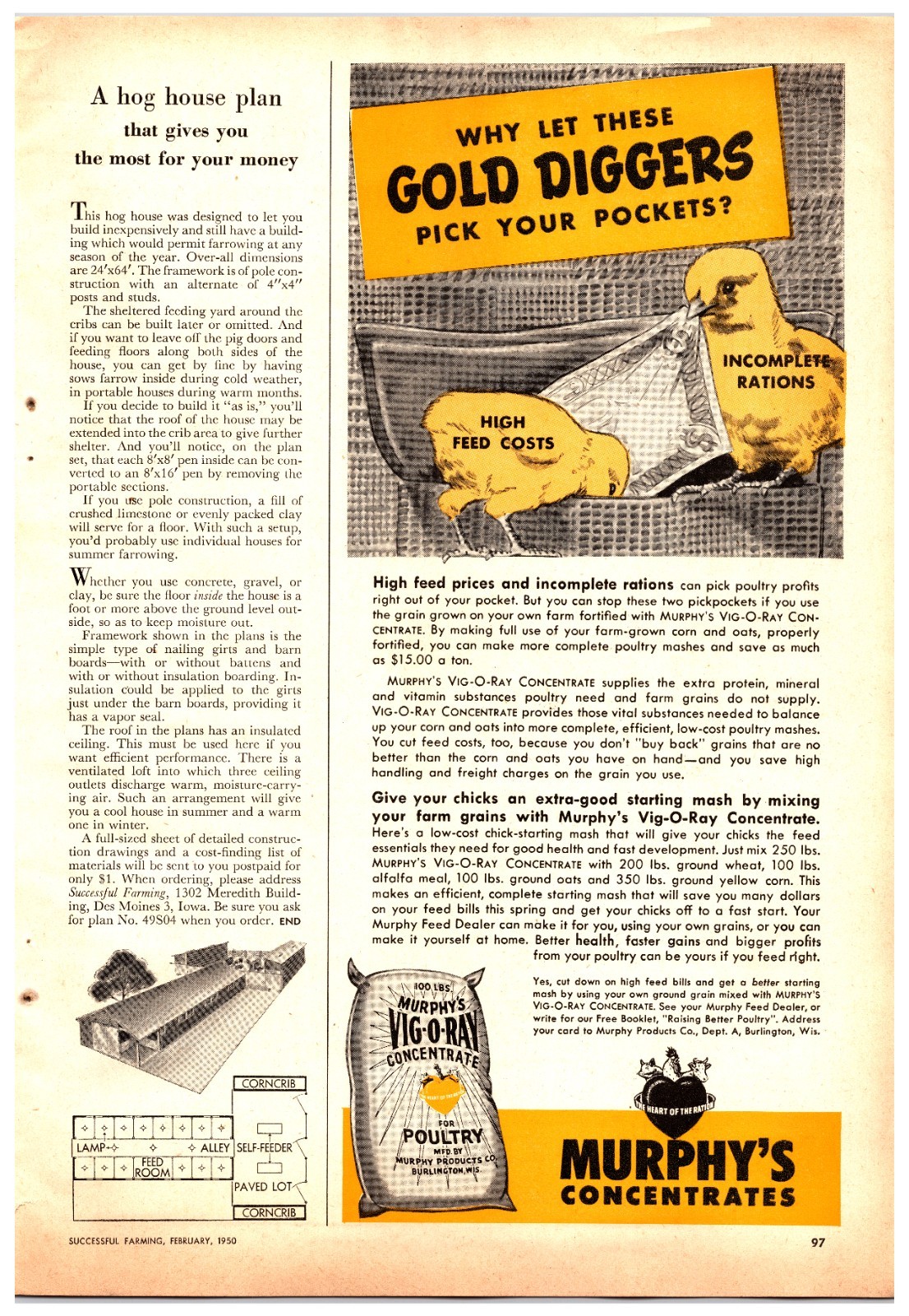 Original 1950 – Murphy&rsquo;s Concentrates Chicken Feed – Print Ad (5.5in x 12in)