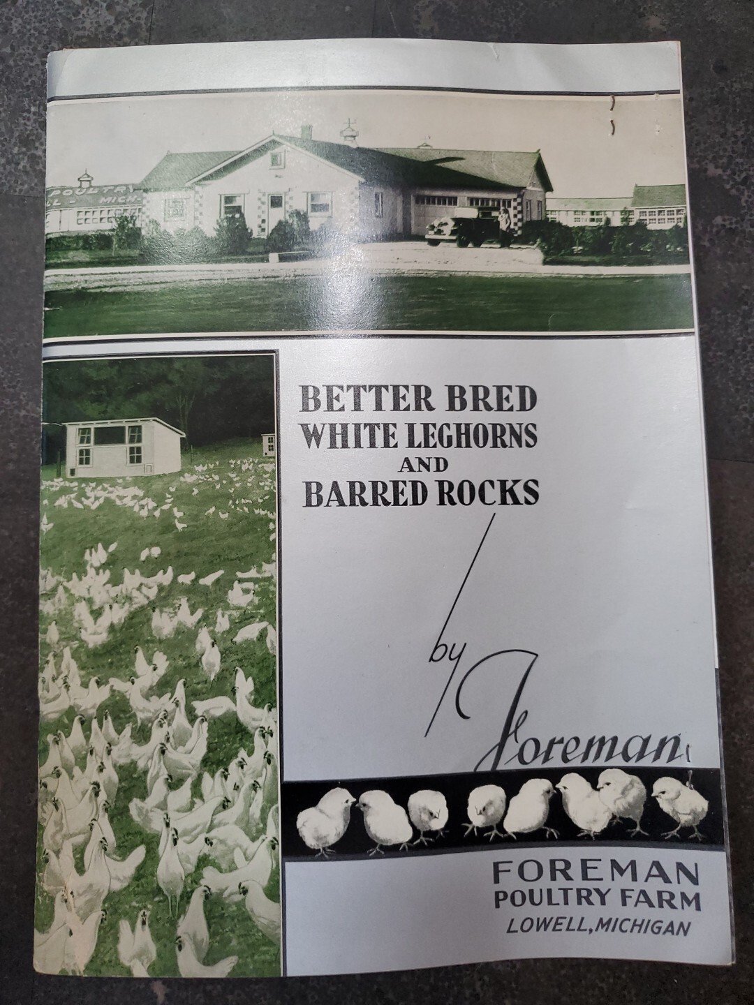 1944 Foreman Poultry Farm Catalog Chickens Beautiful & RARE 🐔