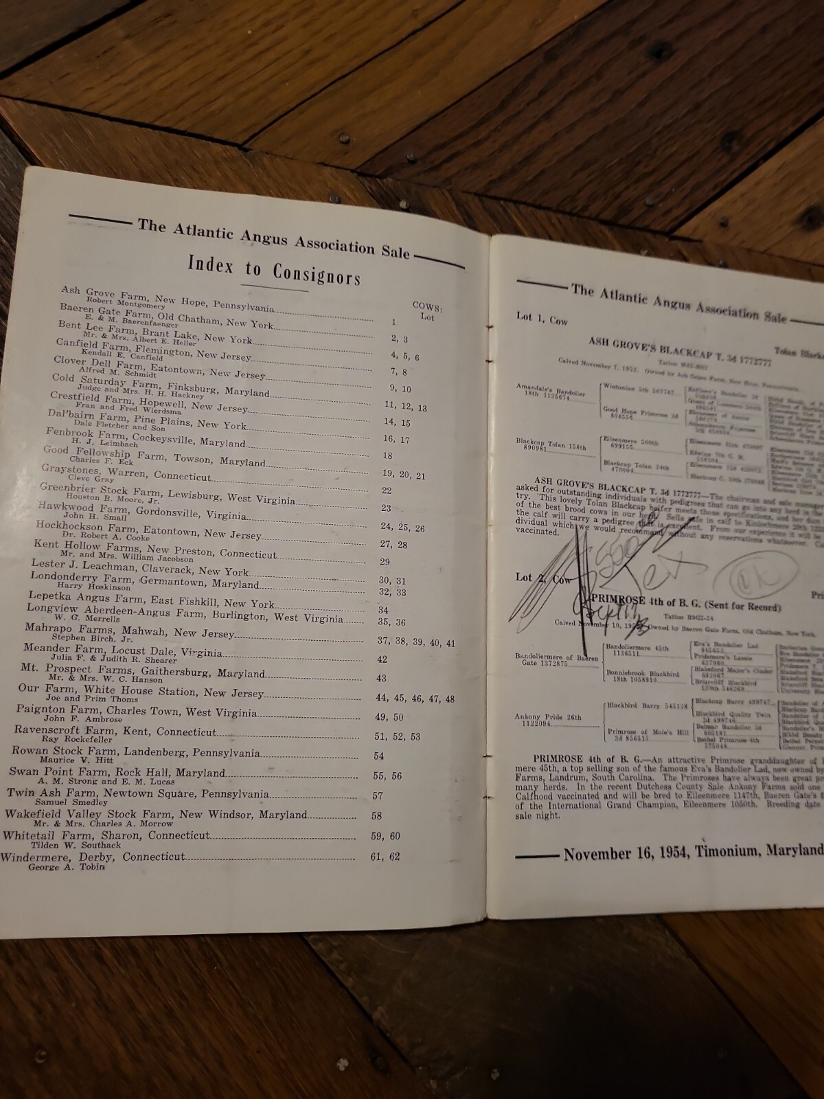 1954 Atlantic Angus Association Sale Bill Aberdeen Cattle Maryland + genealogy