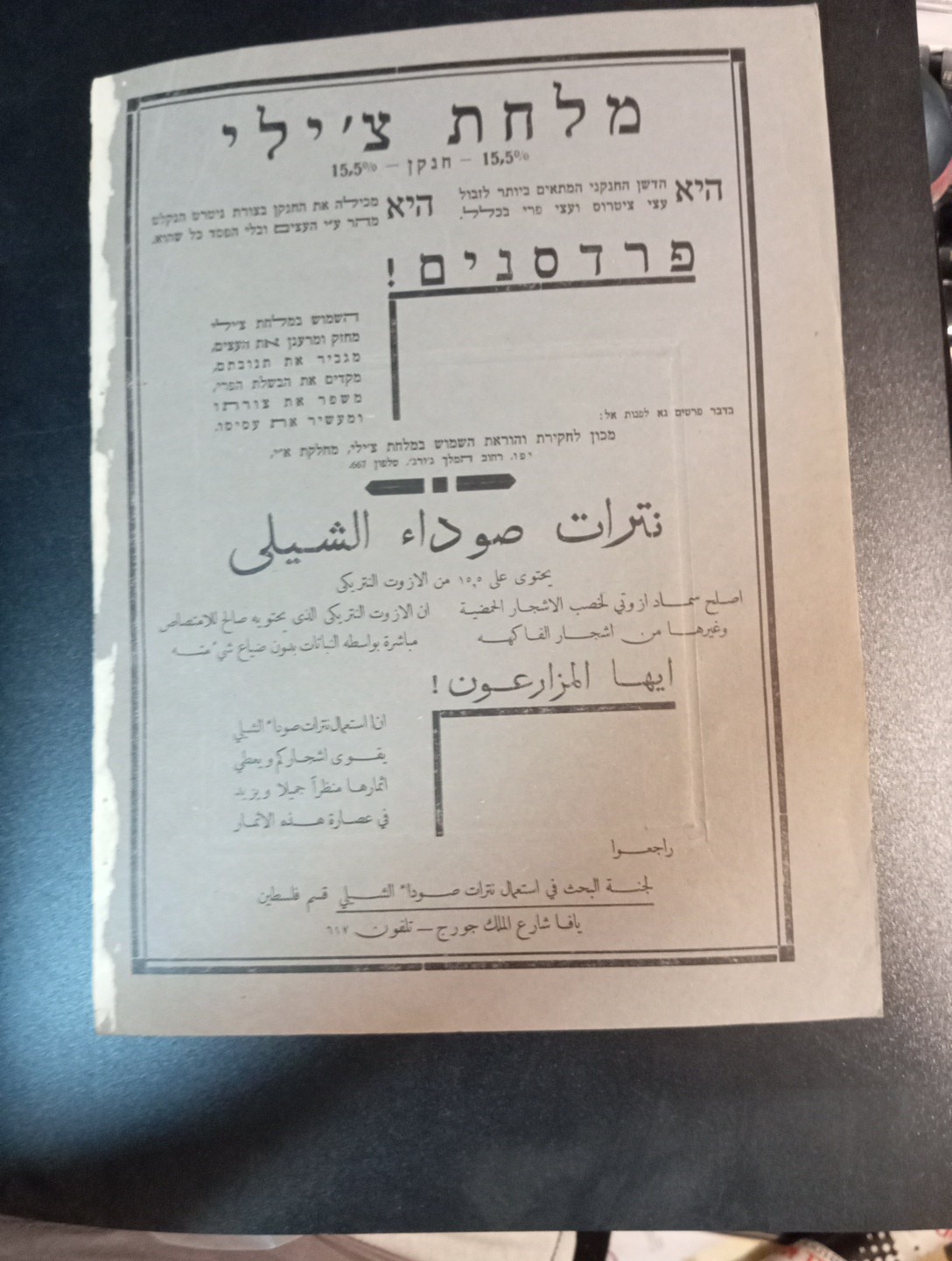 palestine jaffa orange judaica