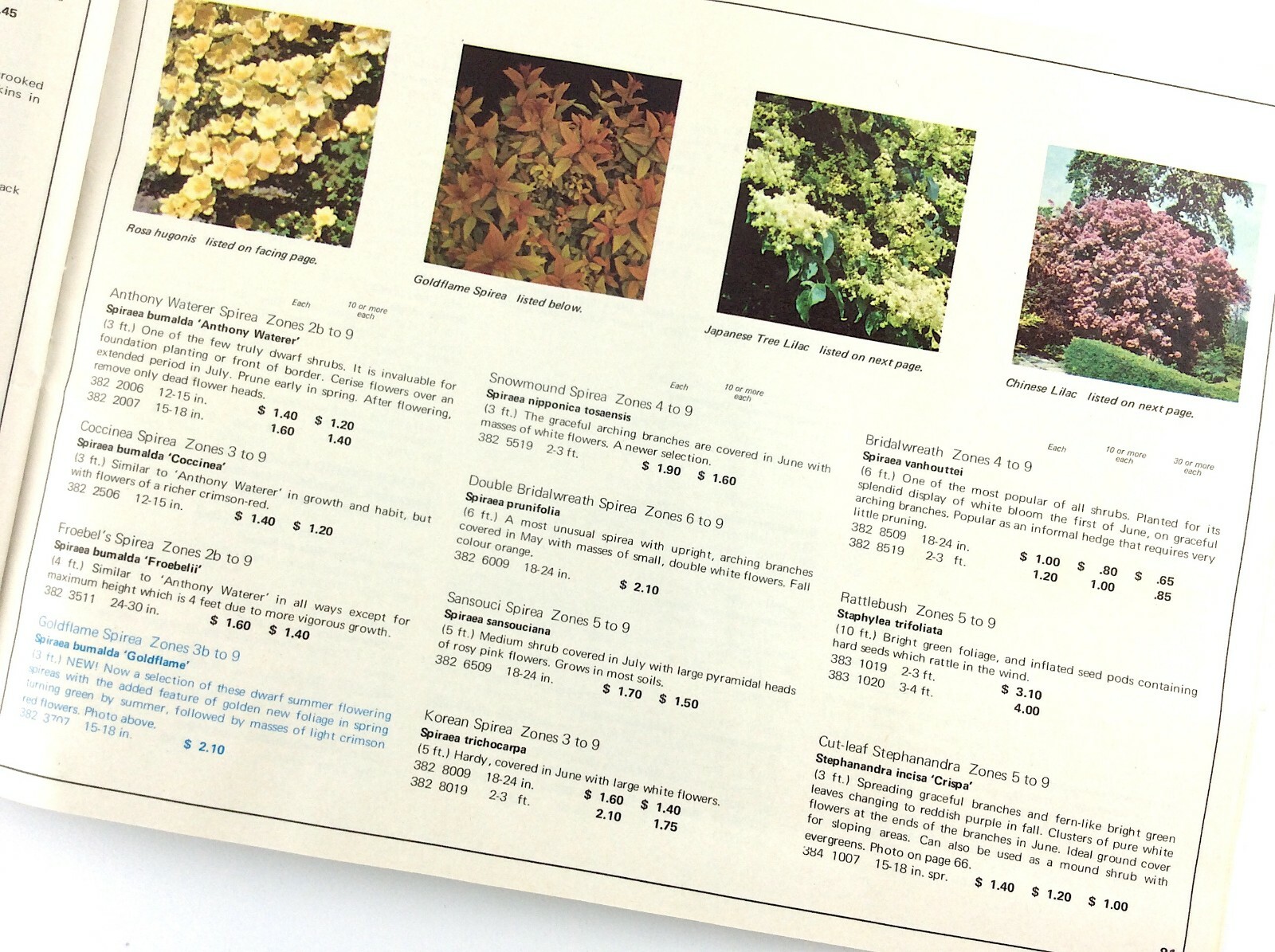 Sheridan Nurseries 1971 Garden Plants Flowers Booklet Guide Catalog L346