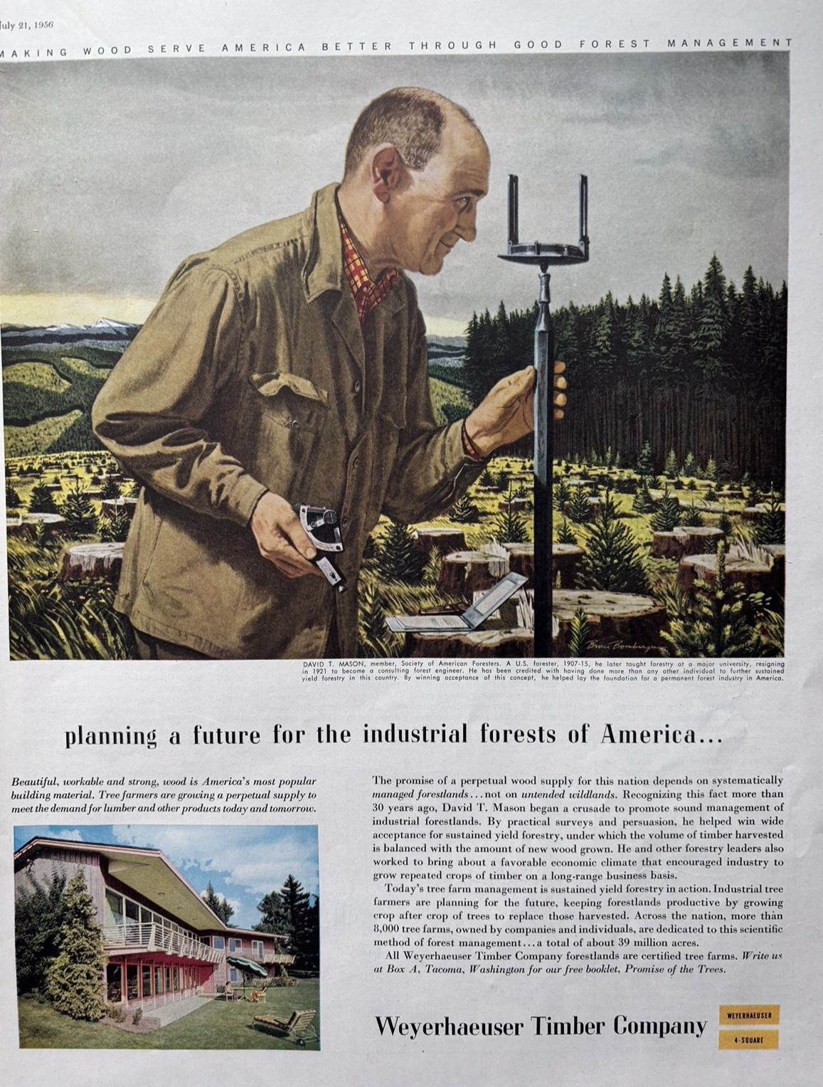 1956 Weyerhaeuser Timber Company Forest Management Industrial Tree VTG Print Ad