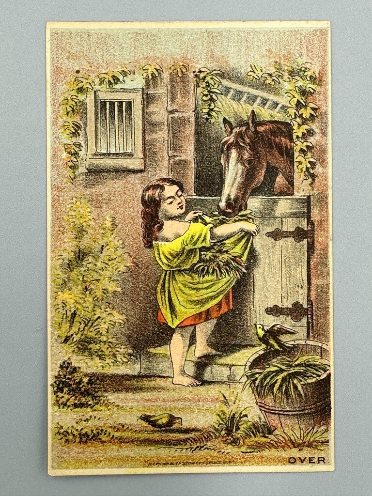 1880s Pair COLUMBIA CHILLED PLOW Horse Chickens FARM Advertising Trade Card