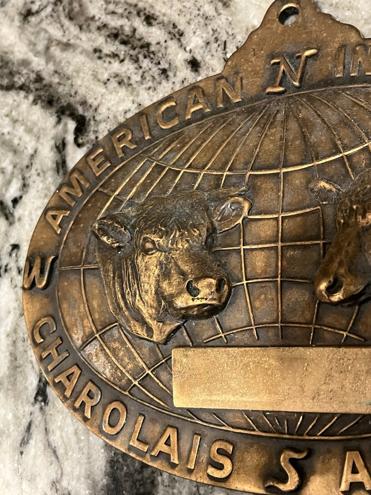 Vtg American International Charolais Association Cattle Bronze Sign Plaque Farm