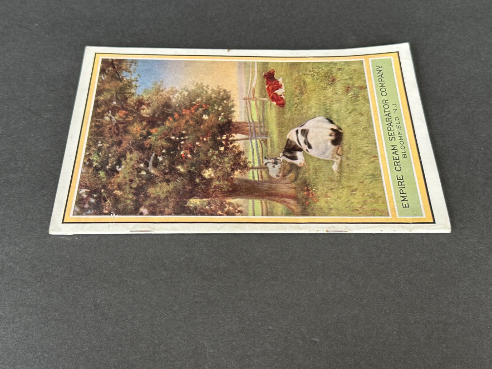 VINTAGE Advertising Catalog Dairy Machinery Empire Cream Separator Company 1914