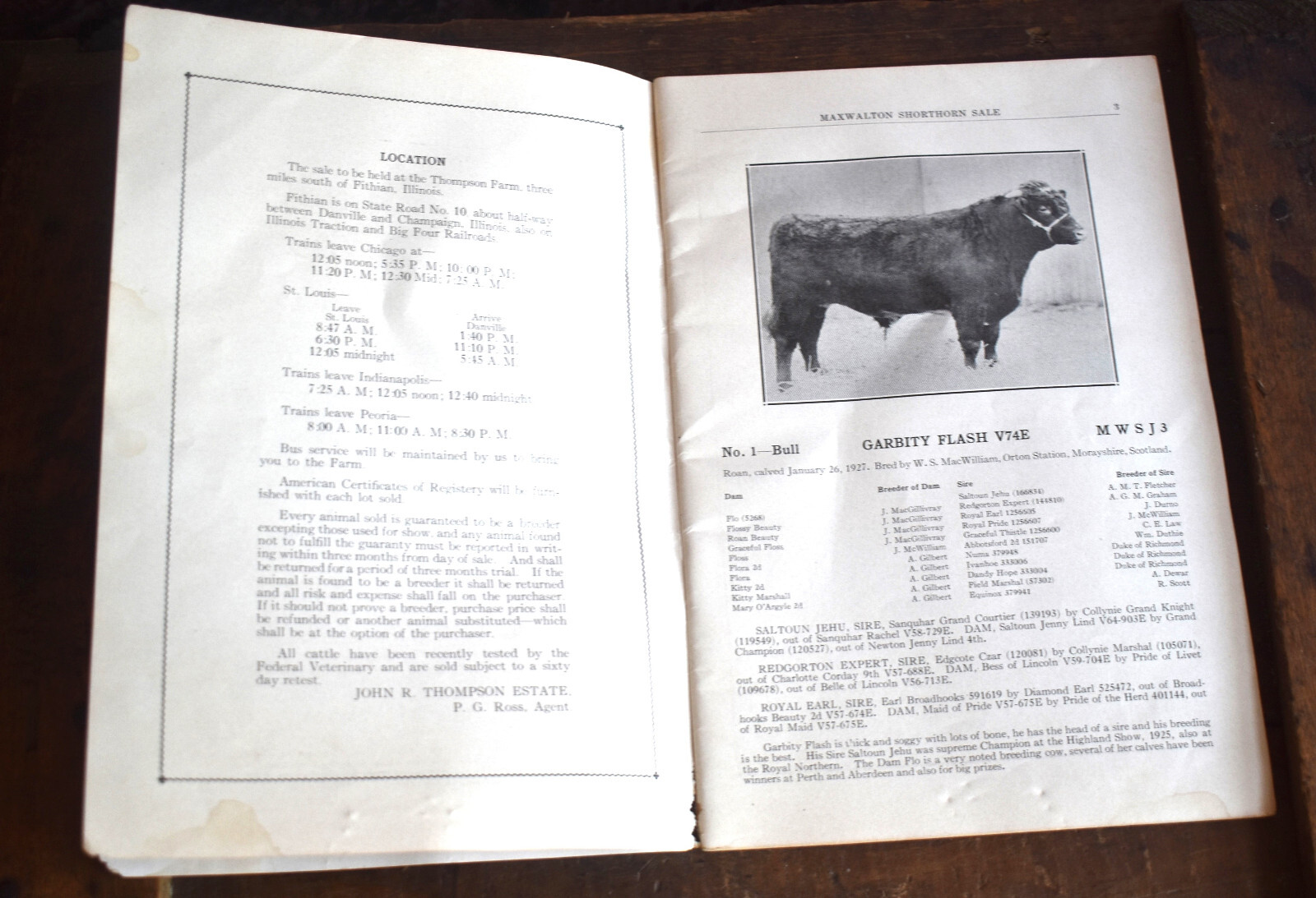 Vintage 1928 Shorthorn Cattle Auction Catalog Thompson Estate Fithian IL