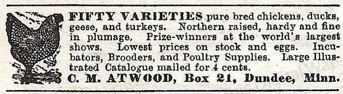1911 C.M. Atwood Dundee MN Ad * Poultry & Supplies 50 Varieties Chicken Ducks+