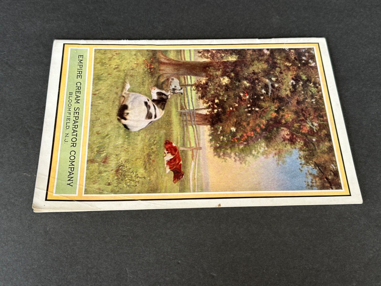 VINTAGE Advertising Catalog Dairy Machinery Empire Cream Separator Company 1914