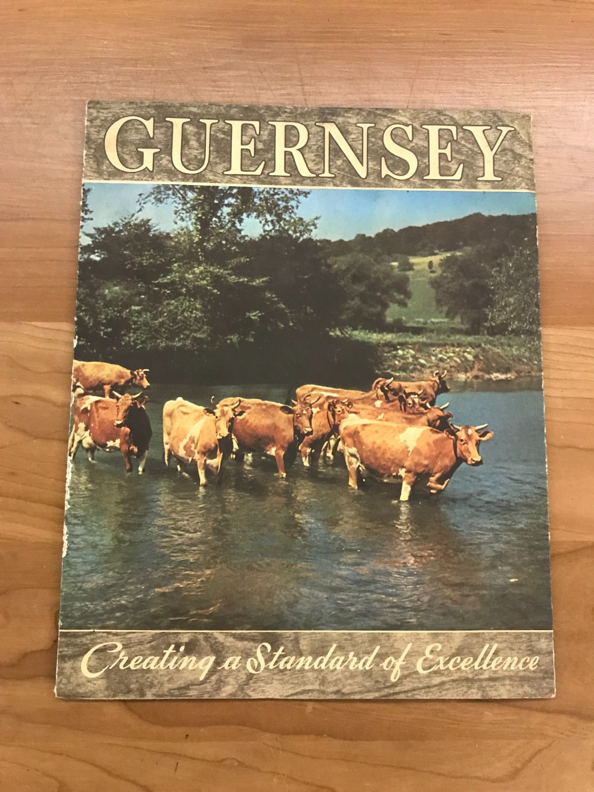 Vintage Guernsey – Creating a Standard of Excellence Brochure