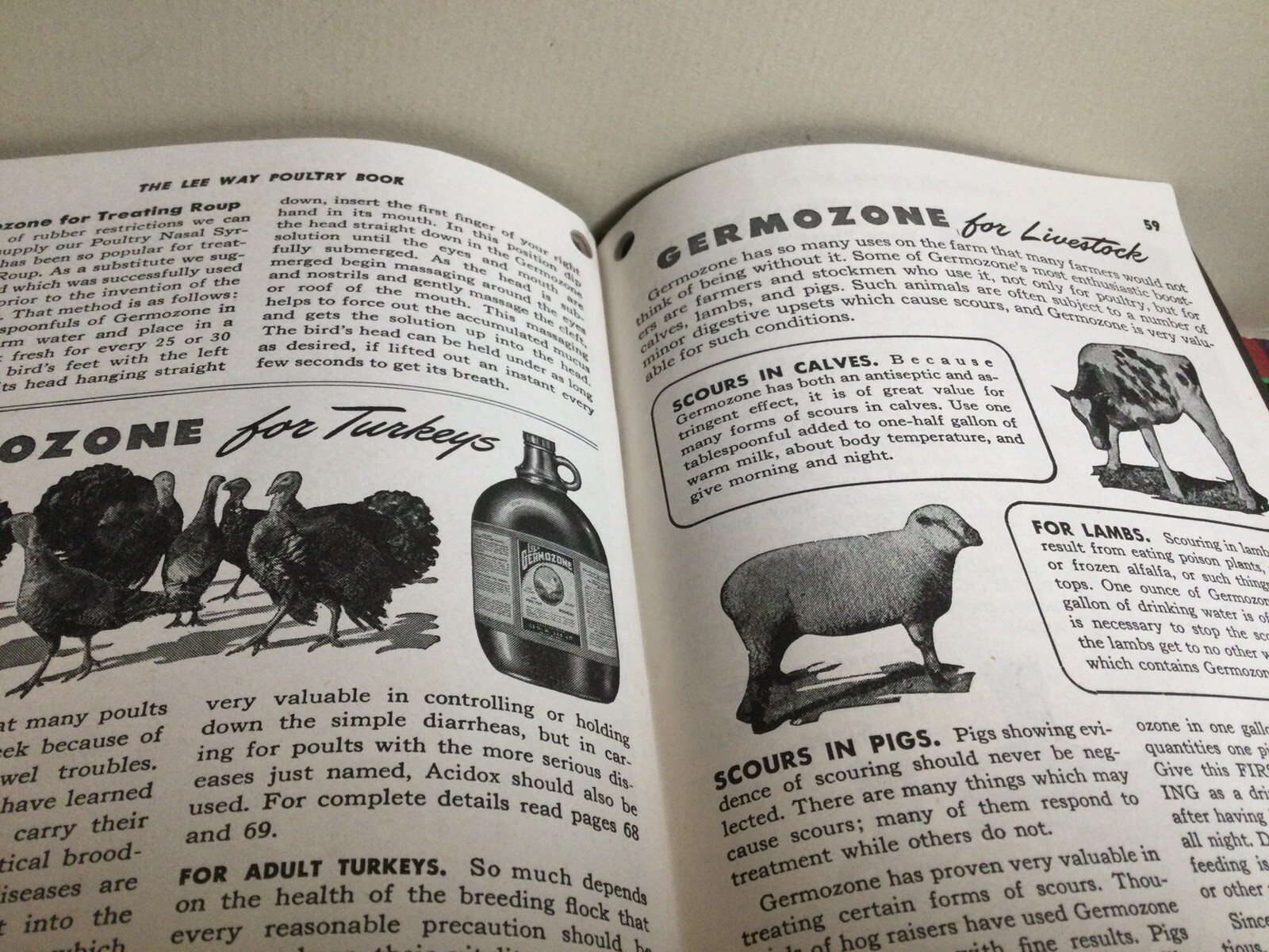 RARE 1948 “THE LEE WAY POULTRY BOOK” FARM GUIDE TO POULTRY HEALTH ILLUSTRATED