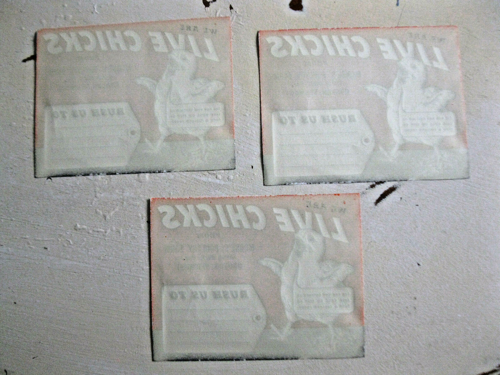 Vintage LIVE CHICKS Morse’s Poultry Farm Groton VT Label Signs Lot of 3