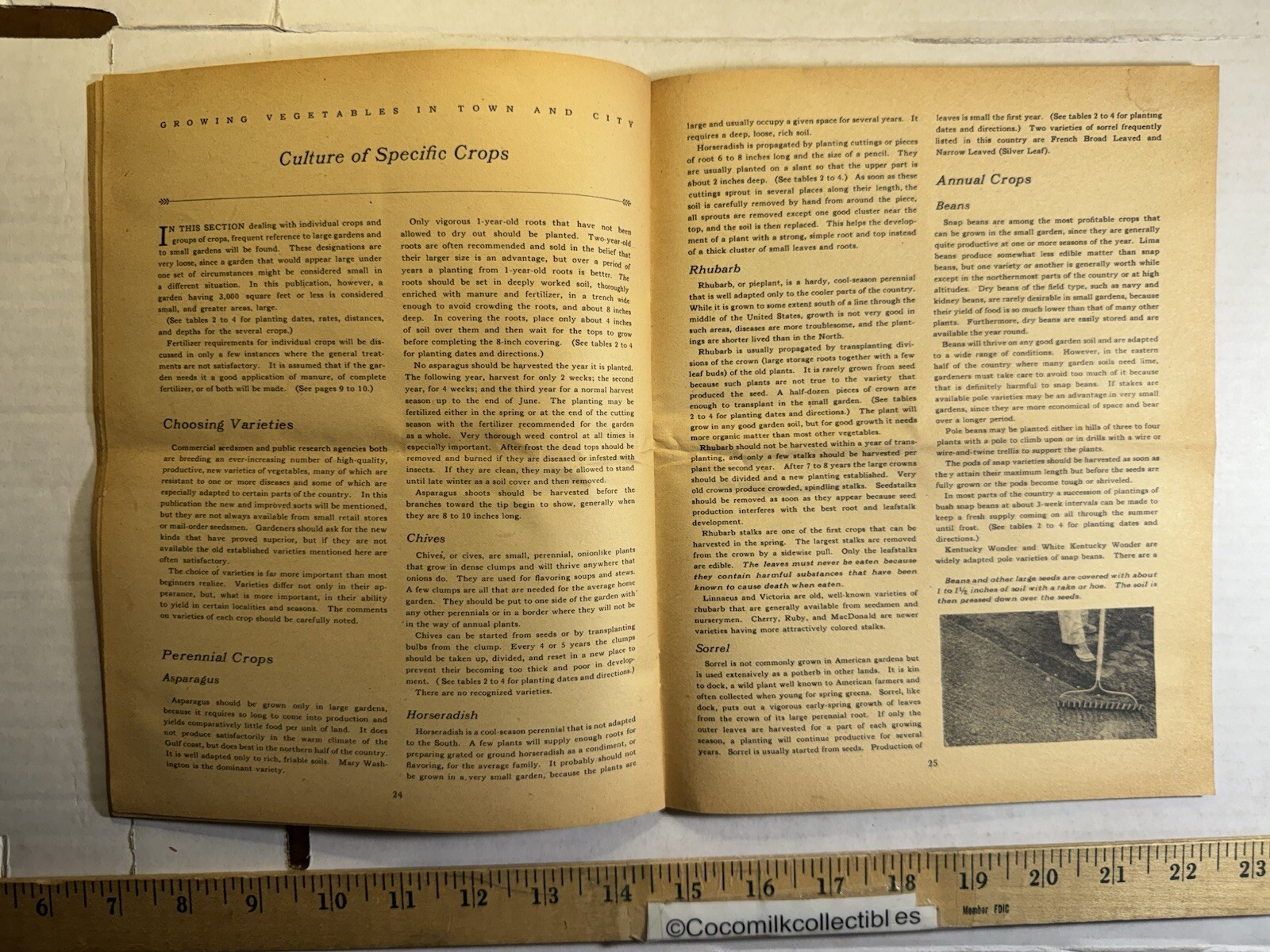 Vintage 1951 United States Department of Agriculture Growing Vegetables Brochure