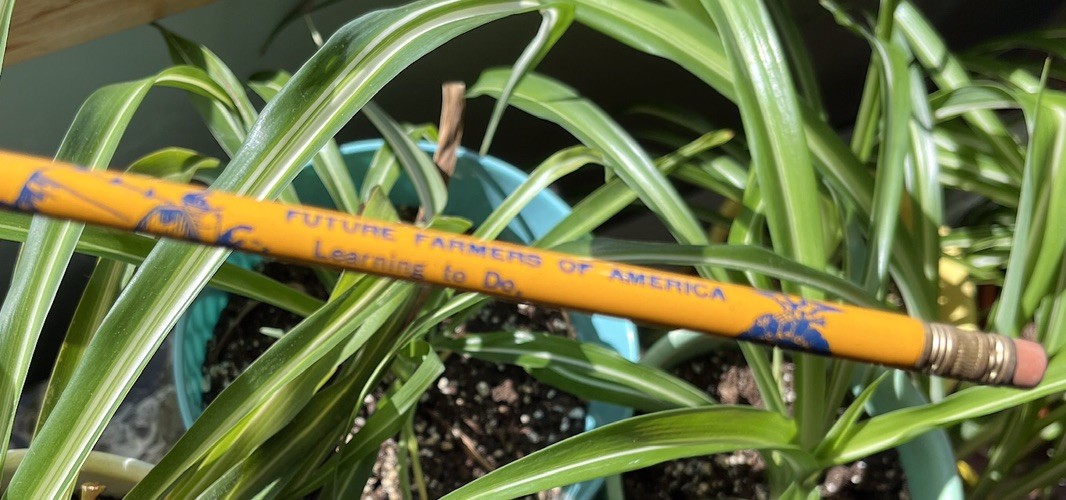 2 Future Farmers of America Vtg FFA Pencils Barn Silo Agriculture Unsharpened