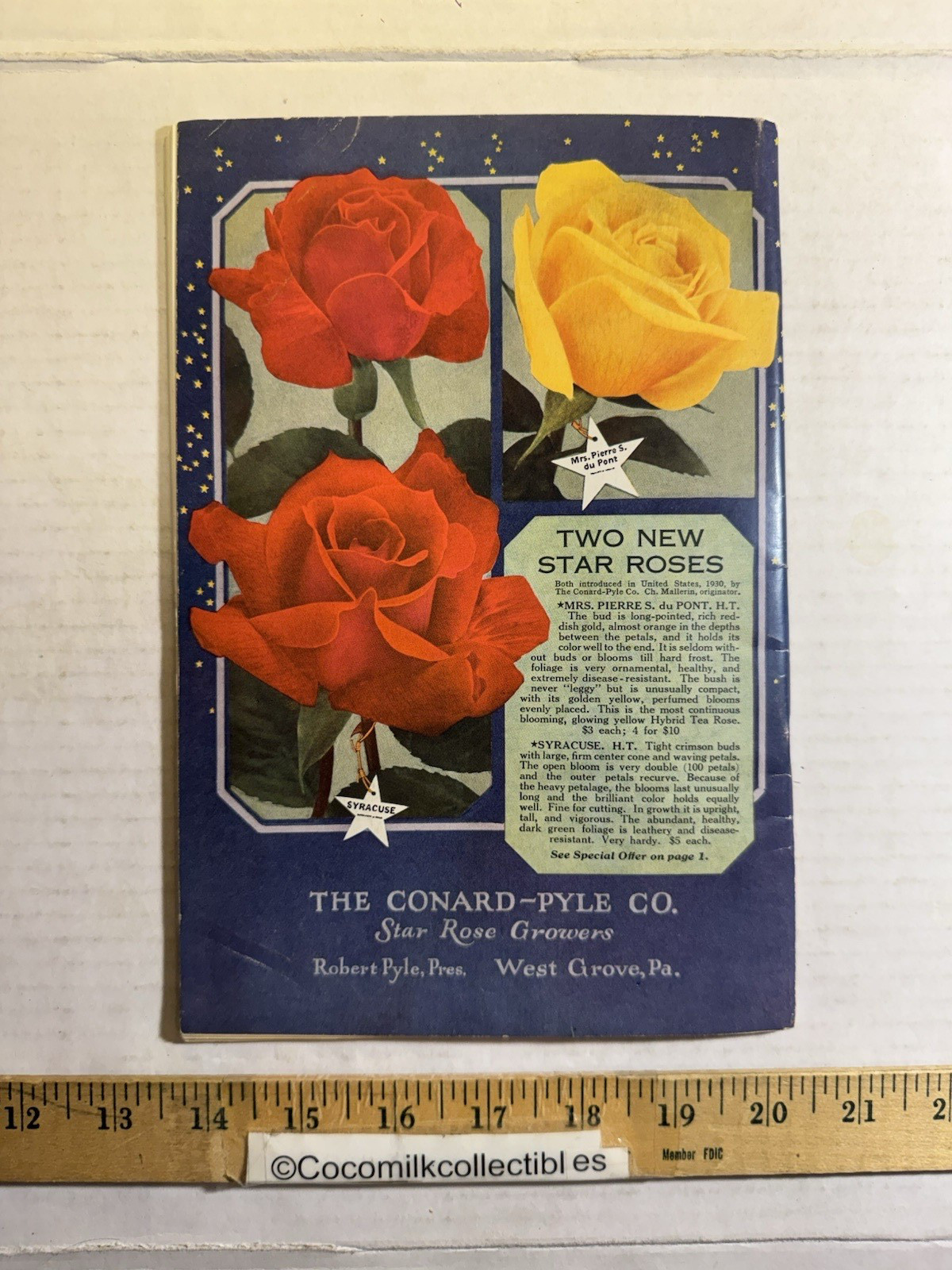 Vintage 1931 The Conard-Pyle CO Star Rose Growers Catalog West Grove PA