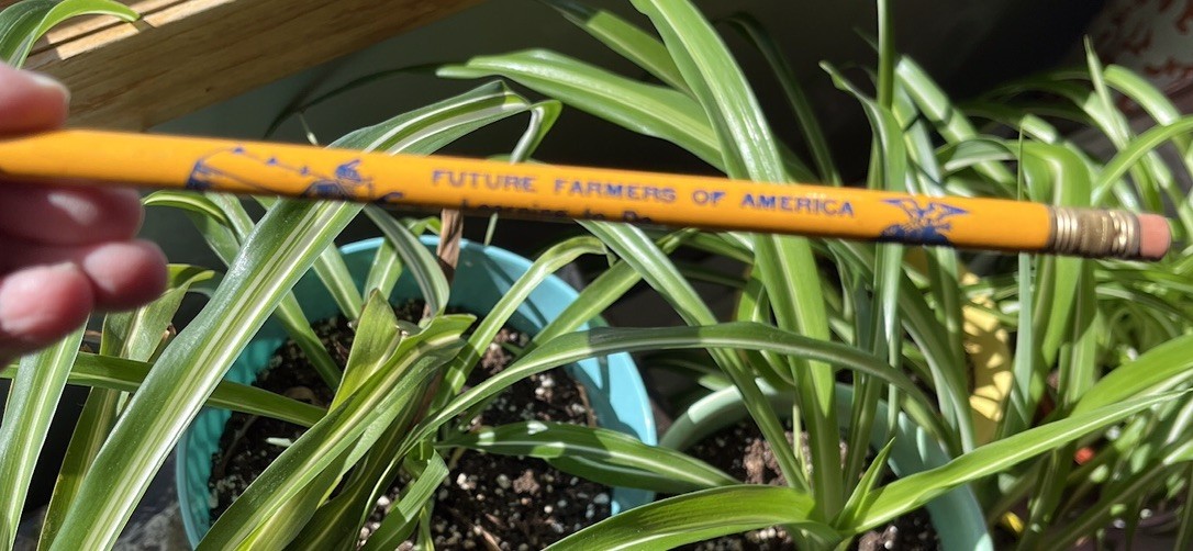 2 Future Farmers of America Vtg FFA Pencils Barn Silo Agriculture Unsharpened
