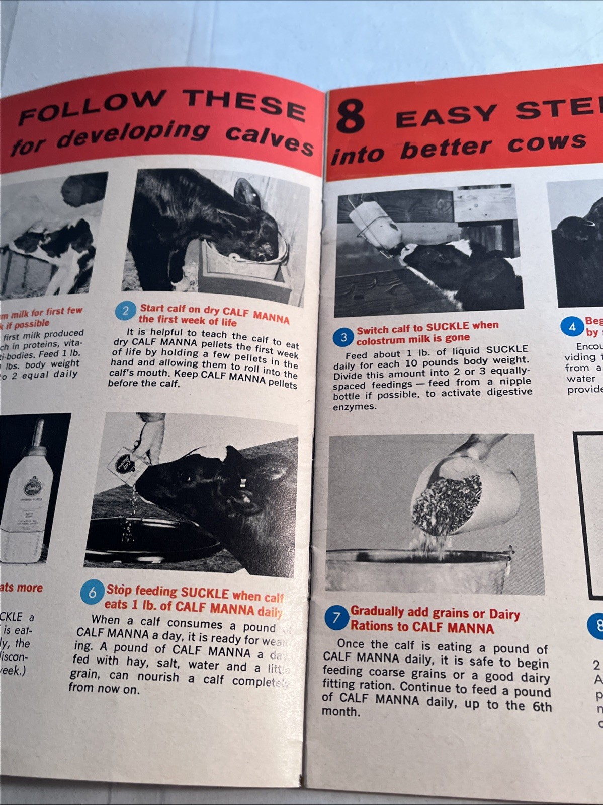 Vintage 1969 Albers Milling Co Raising Better Livestock Booklet, F-658-64