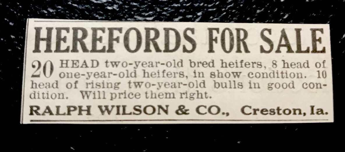 1919 Ralph Wilson & Co. Cattle Advertising – Creston – Iowa – Cow
