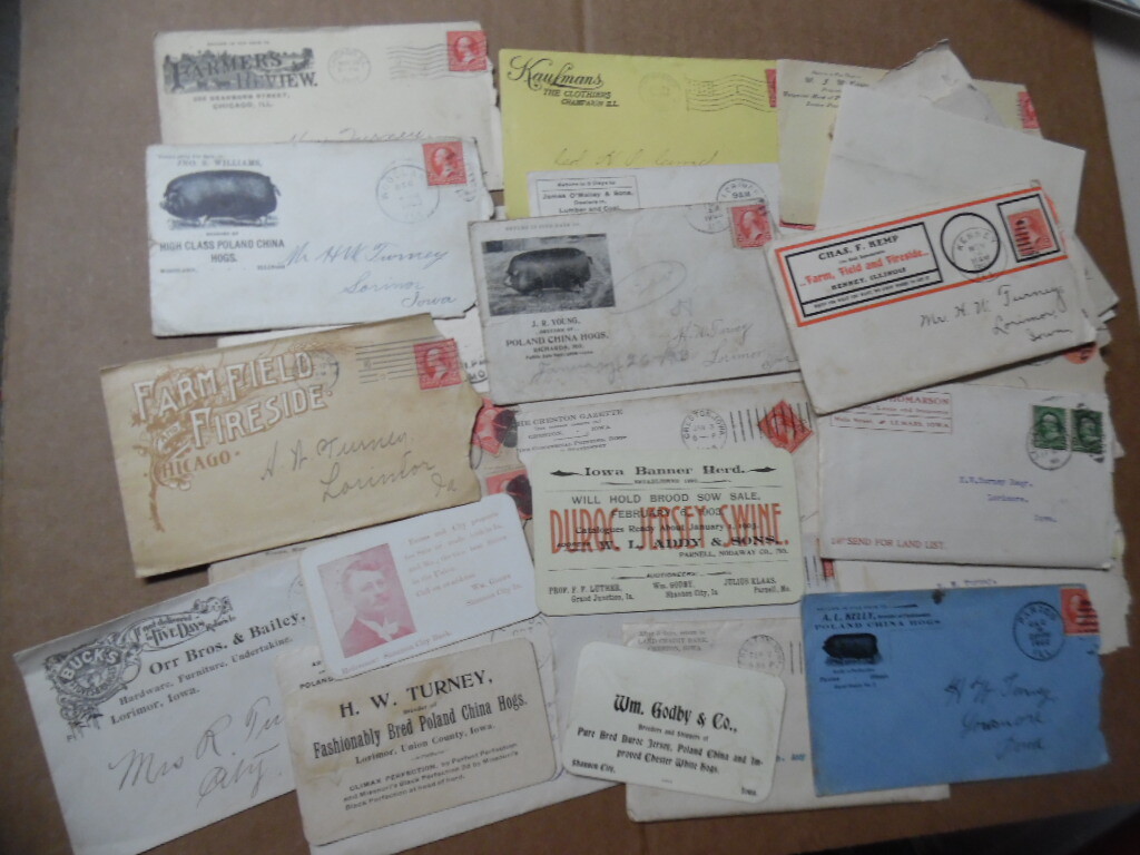 1902-1903 H W Turney Poland China Hog Breeder Archive Letters More Lorimor Iowa