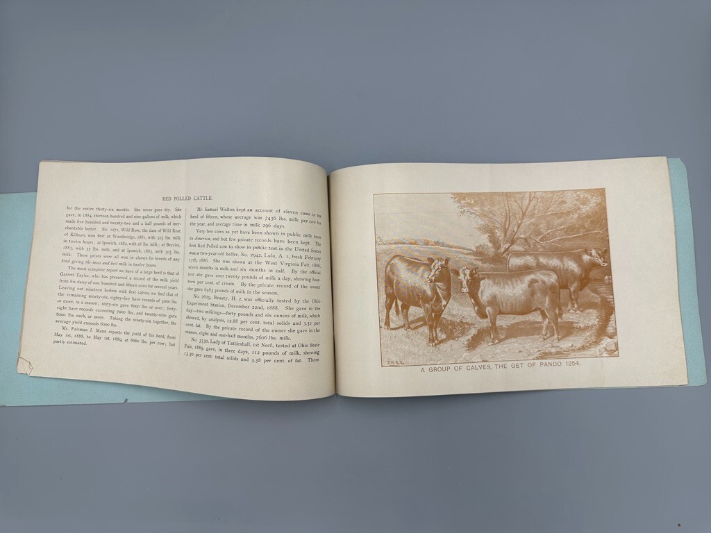 1892 RED POLLED CATTLE Farm Advertising Illustrated HERD BOOK Delaware Ohio