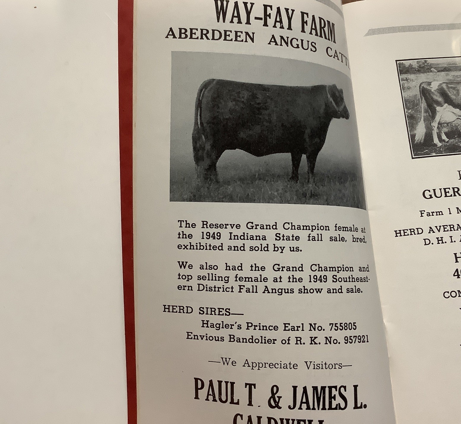 Directory Wayne County Indiana Livestock Breeders Seed Producers 1950-51 1952-53