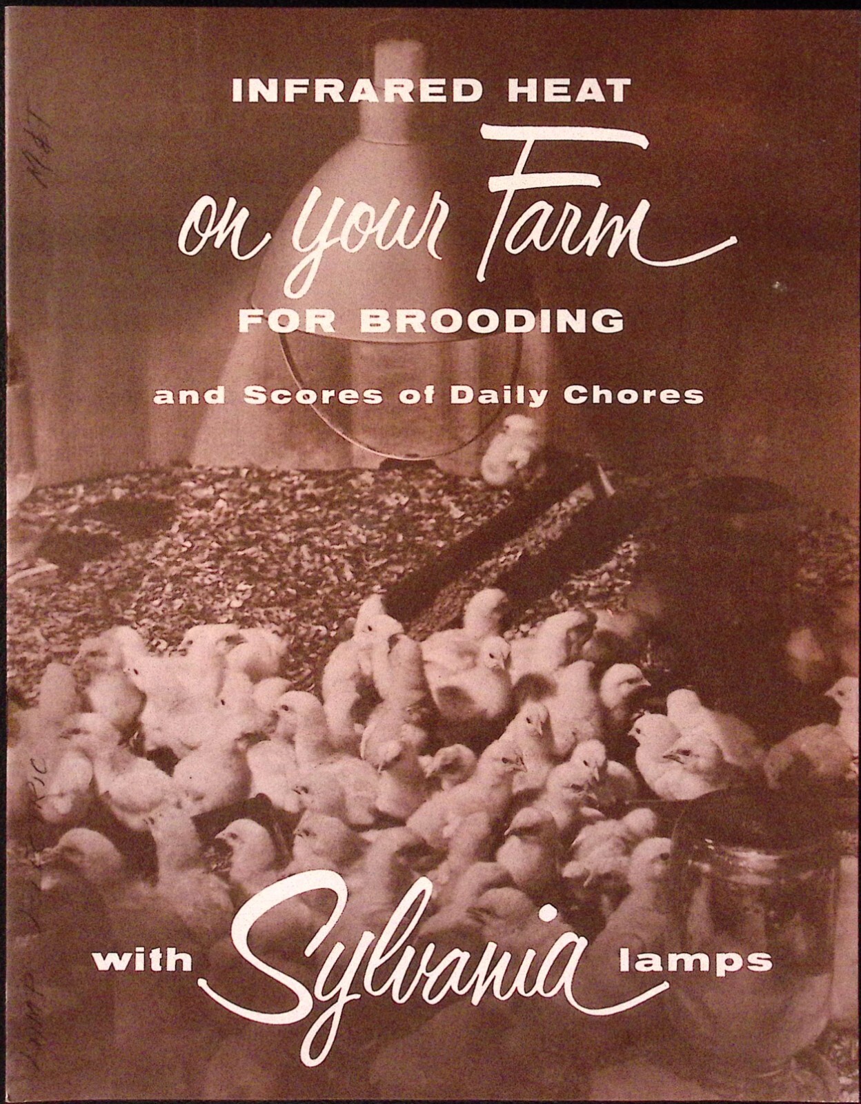 1960s Sylvania Lampa Infrared Heat on Your Farm for Brooding Brochure