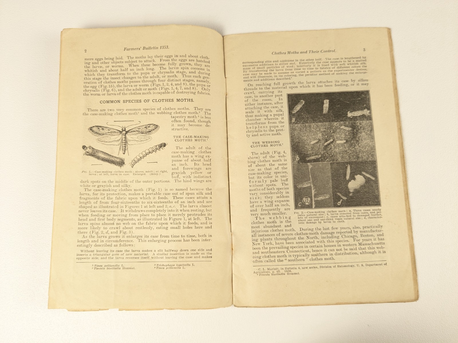 1928 – US Department of Agriculture Farmers Bulletin no. 1353 Cloths Moths – B23